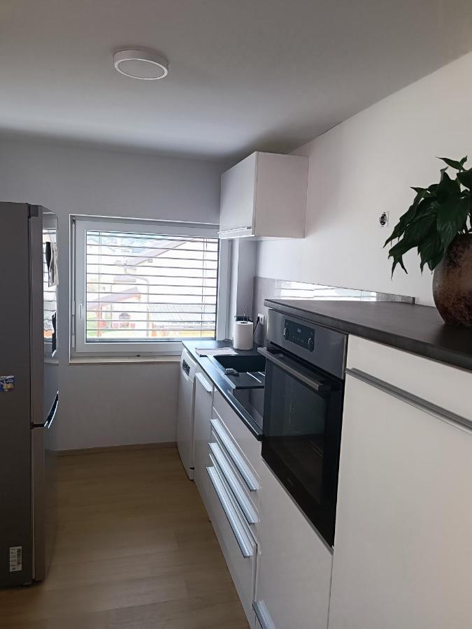 Apartma Frigo Maribor Ngoại thất bức ảnh