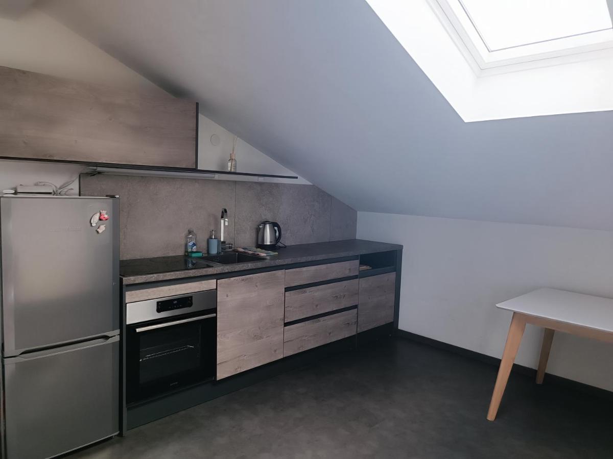 Apartma Frigo Maribor Ngoại thất bức ảnh